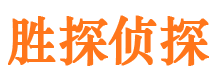 鼎城侦探公司